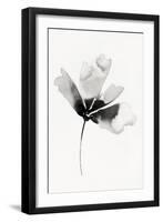 Orpheus Petals II-null-Framed Art Print