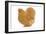 Orpington Chicken in Studio-null-Framed Photographic Print