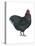 Orpington (Gallus Gallus Domesticus), Rooster, Poultry, Birds-Encyclopaedia Britannica-Stretched Canvas