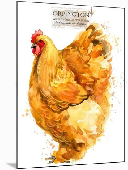 Orpington Hen. Poultry Farming. Chicken Breeds Series. Domestic Farm Bird-Faenkova Elena-Mounted Art Print