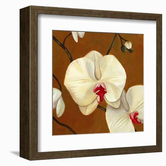 Orquideas Blancas I-Clunia-Framed Art Print