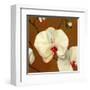 Orquideas Blancas I-Clunia-Framed Art Print