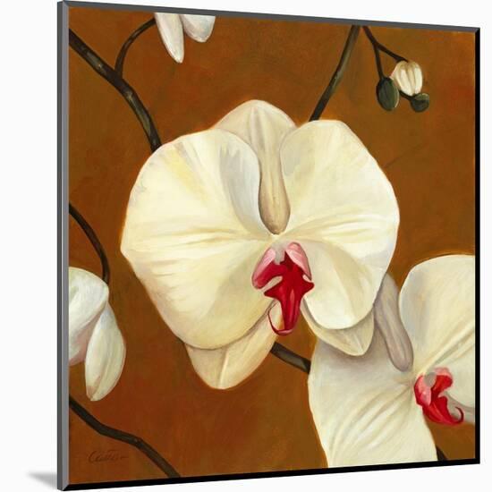 Orquideas Blancas I-Clunia-Mounted Art Print