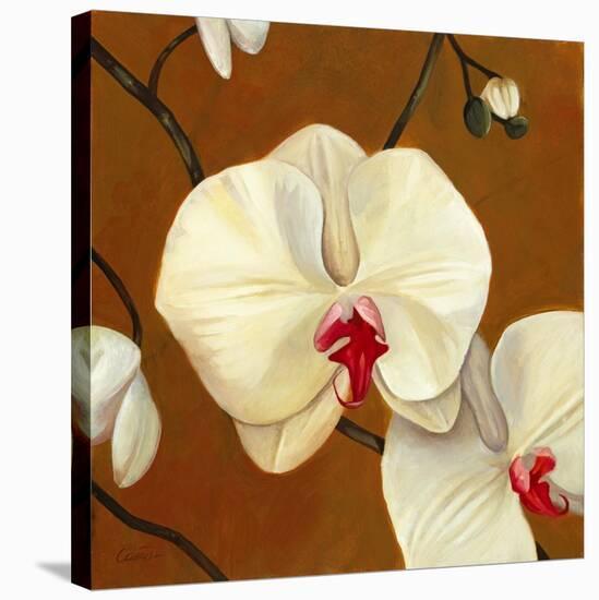 Orquideas Blancas I-Clunia-Stretched Canvas