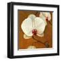 Orquideas Blancas II-Clunia-Framed Art Print