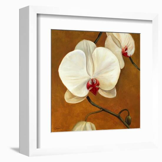 Orquideas Blancas II-Clunia-Framed Art Print