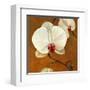 Orquideas Blancas II-Clunia-Framed Art Print