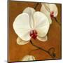 Orquideas Blancas II-Clunia-Mounted Art Print