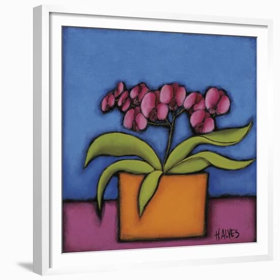 Orquidia Rosa-H Alves-Framed Giclee Print