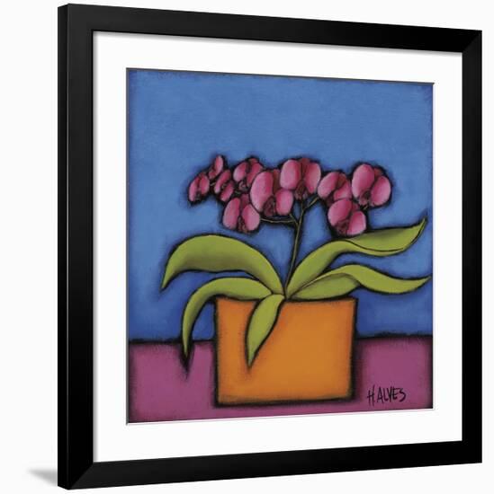 Orquidia Rosa-H Alves-Framed Giclee Print