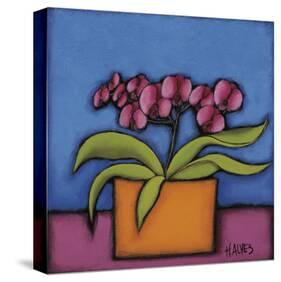 Orquidia Rosa-H Alves-Stretched Canvas