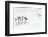 Orsiera Rocciavre Park, Chisone Valley, Piedmont, Italy. Stems in the snow-ClickAlps-Framed Photographic Print