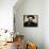 Orson Welles-null-Framed Stretched Canvas displayed on a wall