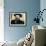 Orson Welles-null-Framed Photo displayed on a wall