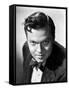 Orson Welles-null-Framed Stretched Canvas