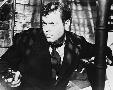 Laminate