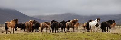 Presto-Þorsteinn H Ingibergsson-Mounted Photographic Print