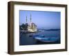 Ortakoy Camii and the Bosphorus Bridge, Istanbul, Turkey-Michele Falzone-Framed Photographic Print
