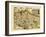 Ortelius's Map of Switzerland, 1570-Library of Congress-Framed Photographic Print