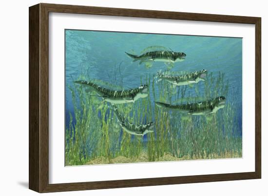 Orthacanthus Was a Freshwater Shark That Thrived in the Devonian Period-null-Framed Art Print