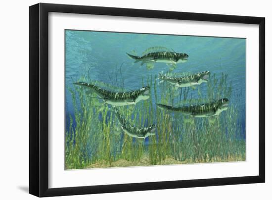 Orthacanthus Was a Freshwater Shark That Thrived in the Devonian Period-null-Framed Art Print