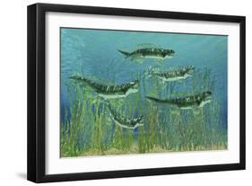 Orthacanthus Was a Freshwater Shark That Thrived in the Devonian Period-null-Framed Art Print