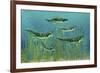 Orthacanthus Was a Freshwater Shark That Thrived in the Devonian Period-null-Framed Art Print
