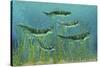 Orthacanthus Was a Freshwater Shark That Thrived in the Devonian Period-null-Stretched Canvas