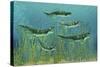 Orthacanthus Was a Freshwater Shark That Thrived in the Devonian Period-null-Stretched Canvas