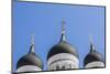 Orthodox Church Domed Spires in the Capital City of Tallinn, Estonia, Europe-Michael Nolan-Mounted Photographic Print