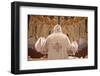 Orthodox Coptic celebration, Chatenay-Malabry, Hauts-de-Seine, France-Godong-Framed Photographic Print