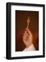 Orthodox Coptic cross, Chatenay-Malabry, Hauts-de-Seine, France-Godong-Framed Photographic Print