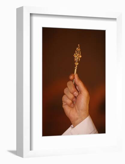 Orthodox Coptic cross, Chatenay-Malabry, Hauts-de-Seine, France-Godong-Framed Photographic Print