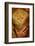 Orthodox Coptic priest praying, Chatenay-Malabry, Hauts-de-Sine, France-Godong-Framed Photographic Print