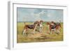 Orthodox Foxhounds-Thomas Ivester Llyod-Framed Art Print