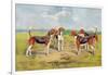 Orthodox Foxhounds-Thomas Ivester Llyod-Framed Art Print