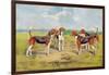 Orthodox Foxhounds-Thomas Ivester Llyod-Framed Art Print