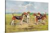 Orthodox Foxhounds-Thomas Ivester Llyod-Stretched Canvas