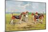 Orthodox Foxhounds-Thomas Ivester Llyod-Mounted Art Print