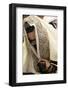 Orthodox Jew in the Belz Synagogue, Jerusalem-Godong-Framed Photographic Print