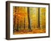 Orton Forest-Philippe Sainte-Laudy-Framed Photographic Print