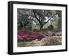 Orton Plantation Gardens, North Carolina, USA-null-Framed Photographic Print