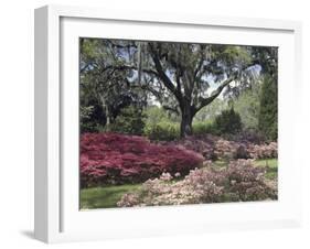 Orton Plantation Gardens, North Carolina, USA-null-Framed Photographic Print