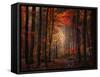 Orton Wood-Philippe Sainte-Laudy-Framed Stretched Canvas