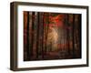 Orton Wood-Philippe Sainte-Laudy-Framed Photographic Print