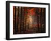 Orton Wood-Philippe Sainte-Laudy-Framed Photographic Print