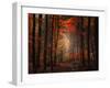 Orton Wood-Philippe Sainte-Laudy-Framed Photographic Print