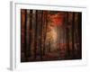 Orton Wood-Philippe Sainte-Laudy-Framed Photographic Print