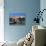 Orust Island, West Gotaland, Sweden, Scandinavia, Europe-Robert Cundy-Stretched Canvas displayed on a wall