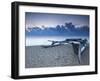 Oruwa (Outrigger Canoe) on Beach at Sunset, Negombo, North Western Province, Sri Lanka, Asia-Ian Trower-Framed Photographic Print